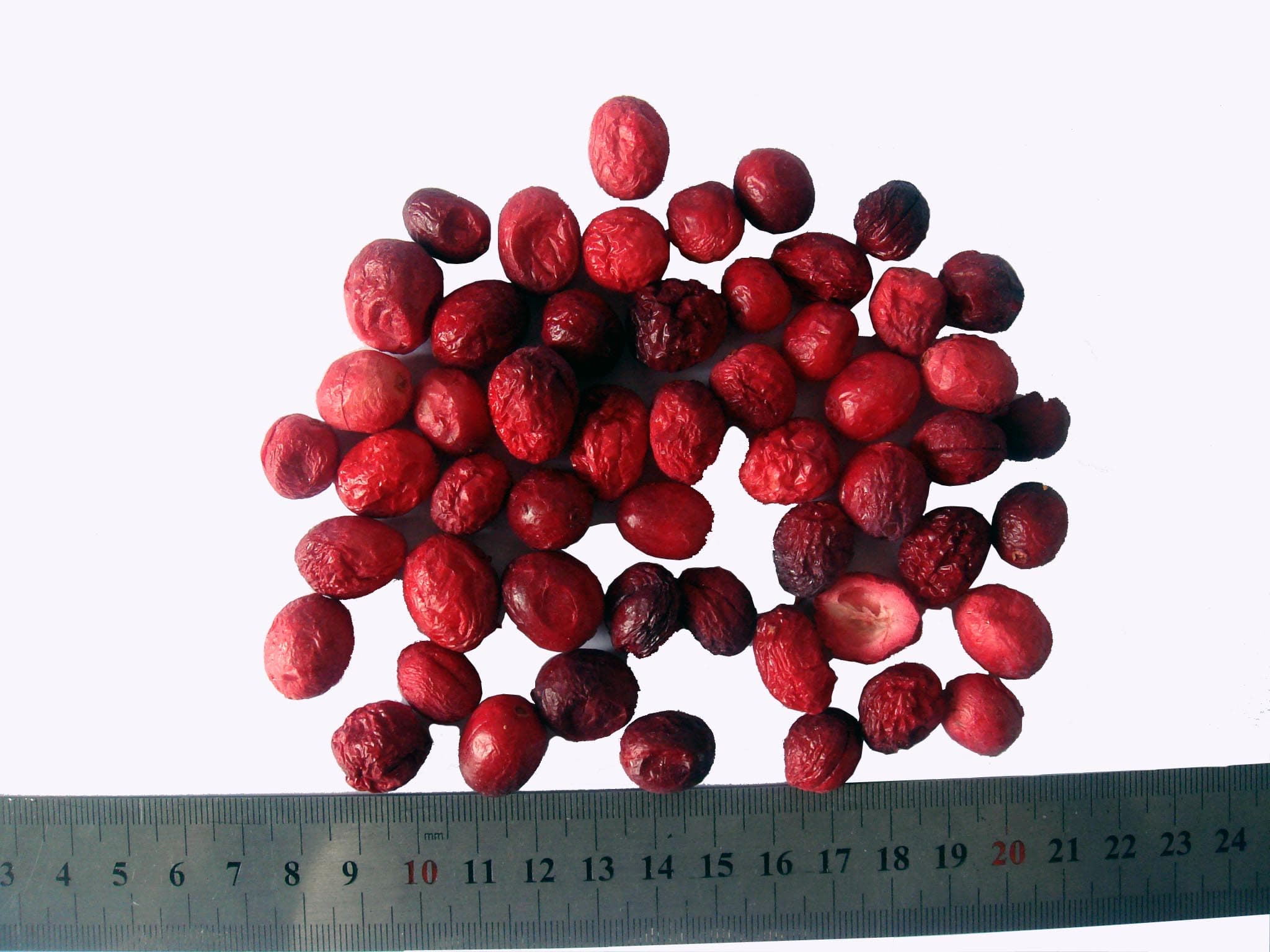 Freeze Dried Cranberries Health Fruit